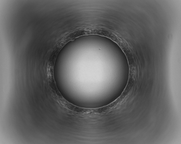 X0000116370770200912091237