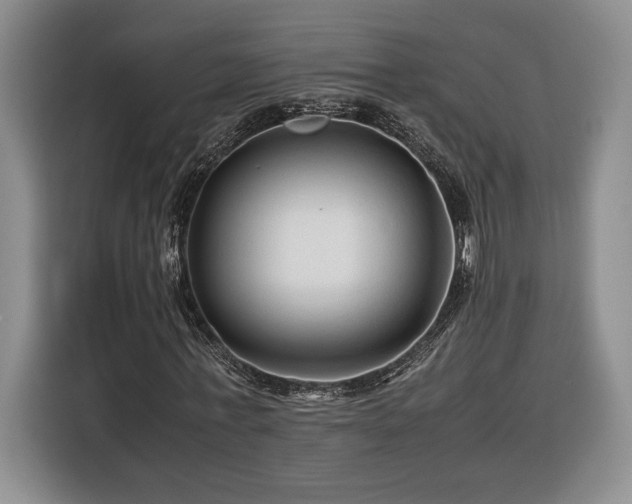 X0000116370771200912091237