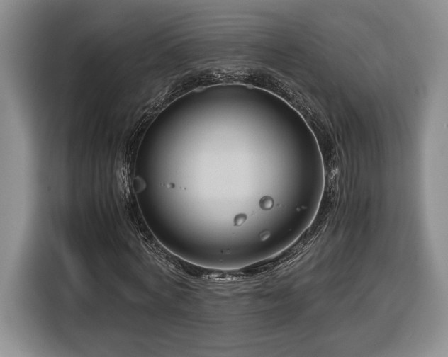 X0000116370772200912091237