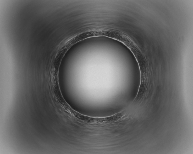 X0000116370773200912091237