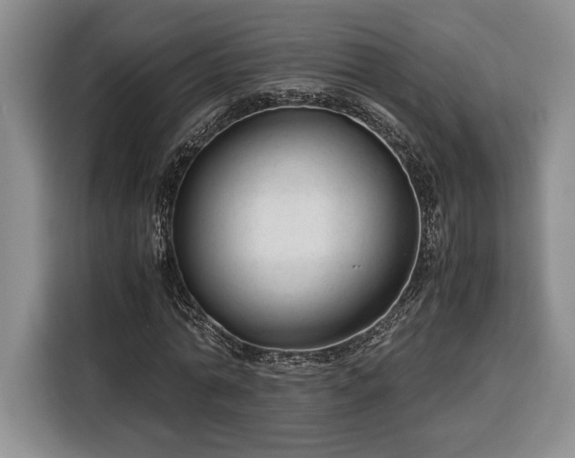 X0000116370774200912091237