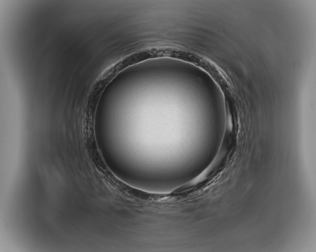 X0000116370775200912091237