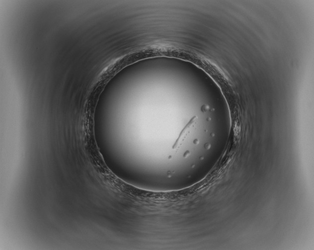 X0000116370776200912091237