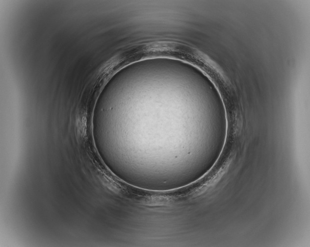 X0000116370777200912091237