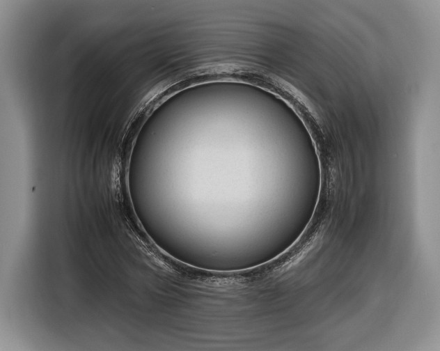 X0000116370778200912091237