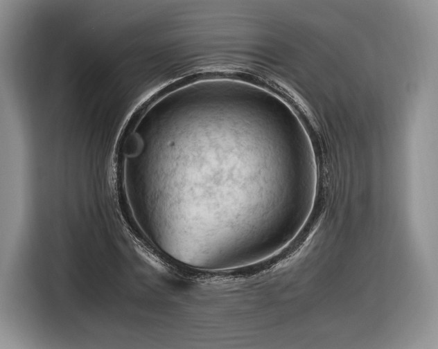 X0000116370779200912091237