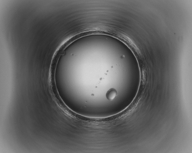 X0000116370780200912091237