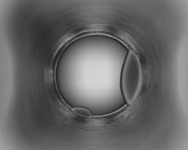 X0000116370781200912091237