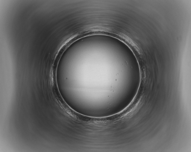 X0000116370782200912091237