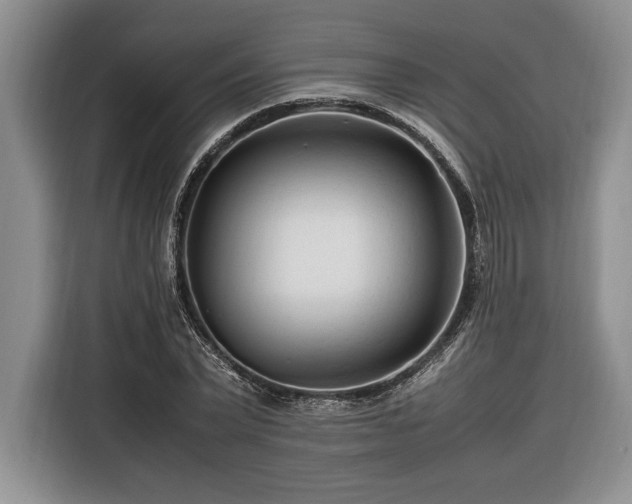 X0000116370783200912091237