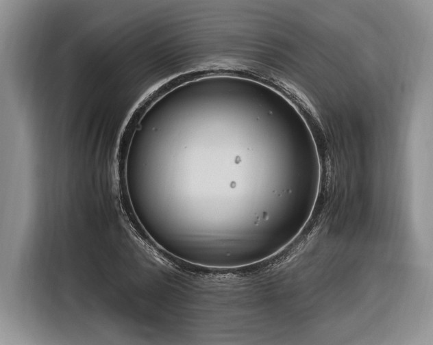 X0000116370784200912091237