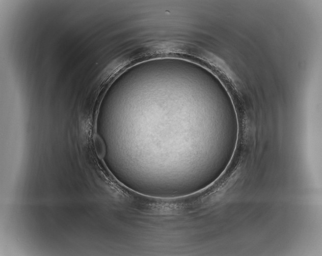 X0000116370785200912091237