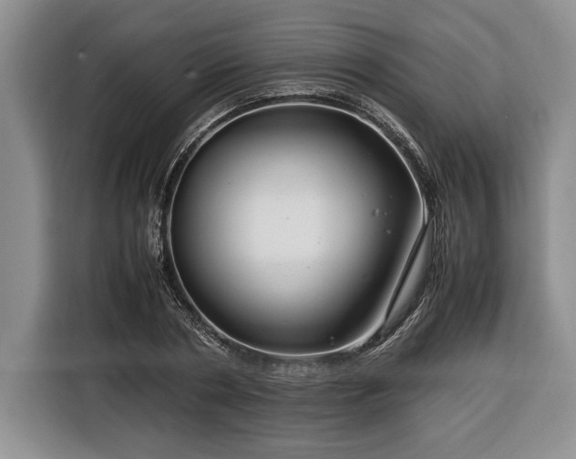 X0000116370786200912091237