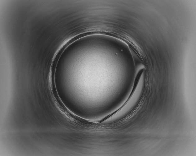 X0000116370788200912091237