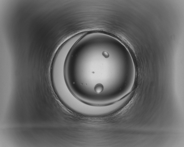 X0000116370789200912091237