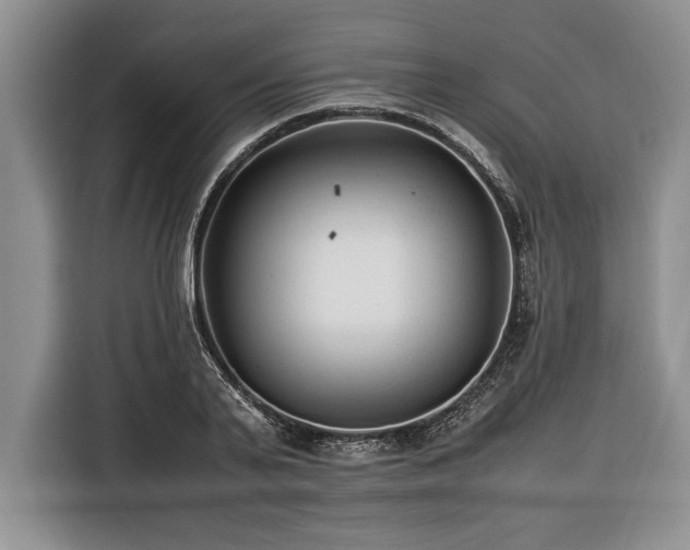 X0000116370791200912091237