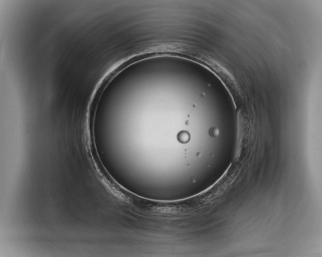 X0000116370792200912091236