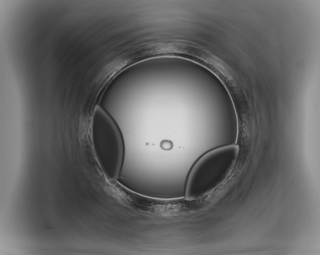 X0000116370793200912091236