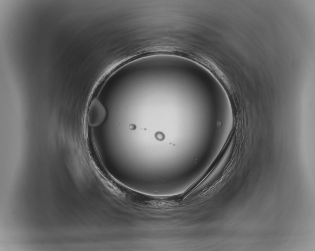 X0000116370795200912091236