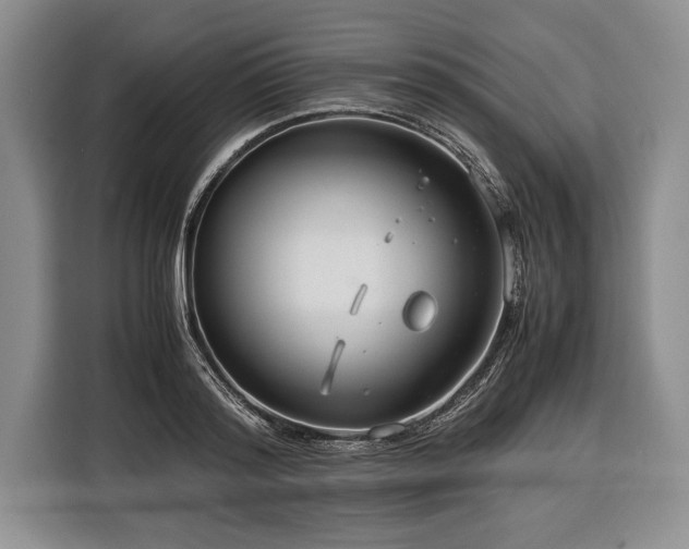 X0000116370796200912091236