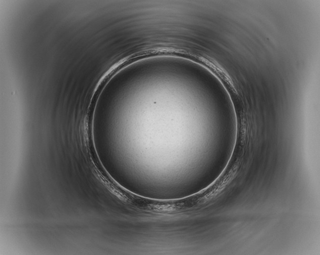 X0000116370798200912091236