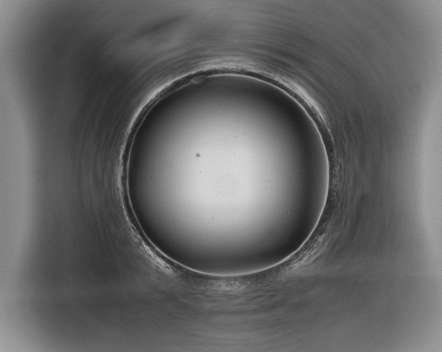 X0000116370799200912091236