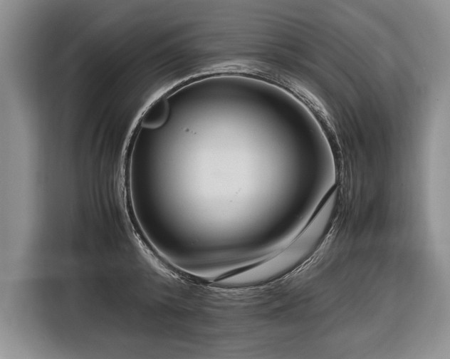 X0000116370800200912091236