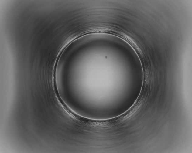 X0000116370802200912091236