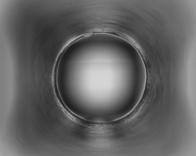 X0000116370803200912091236