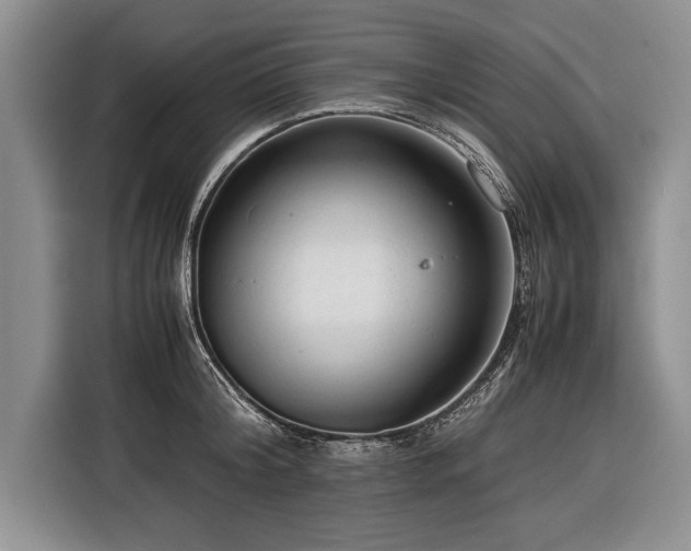 X0000116370804200912091236