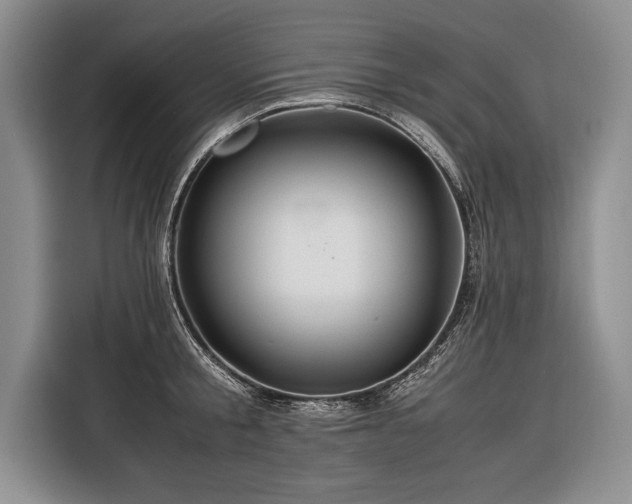 X0000116370805200912091236