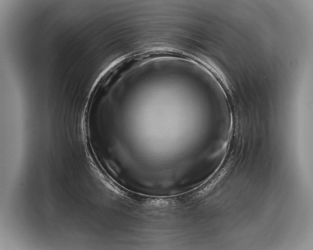 X0000116370806200912091236