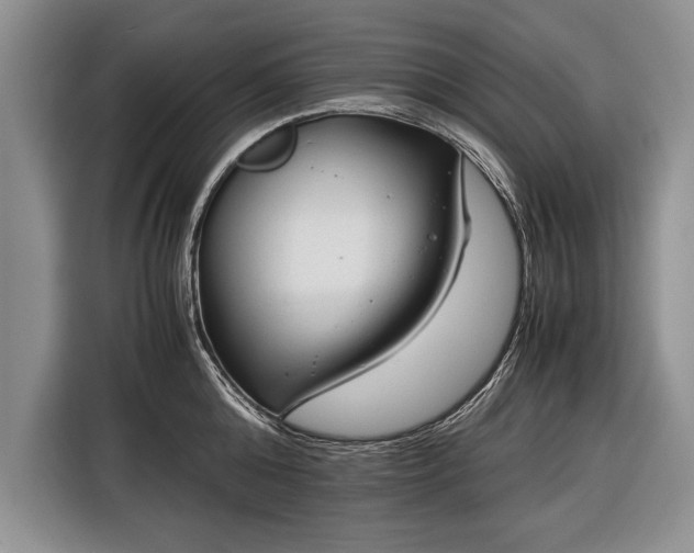 X0000116370808200912091236