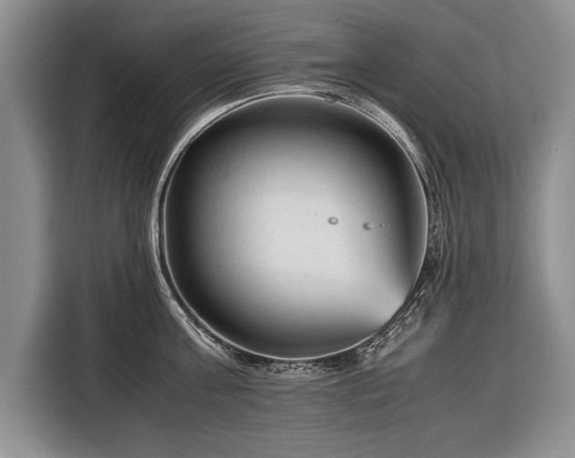 X0000116370811200912091236