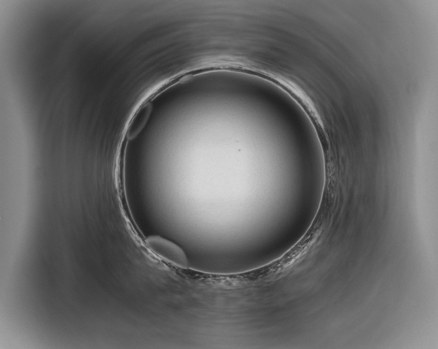 X0000116370815200912091236