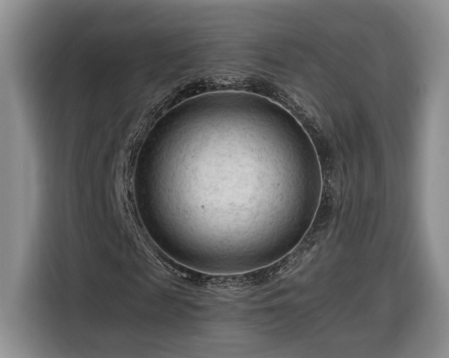 X0000116370817200912091236