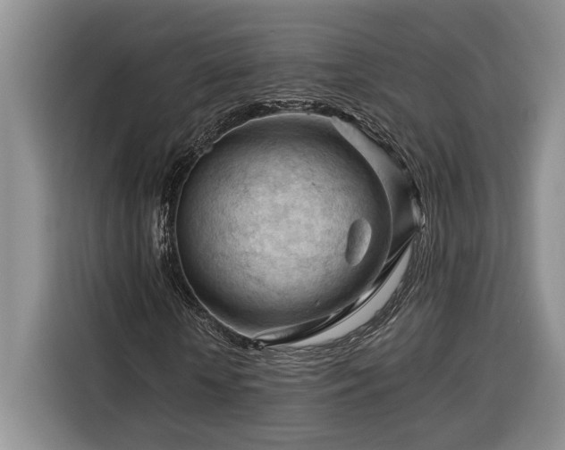 X0000116370818200912091236