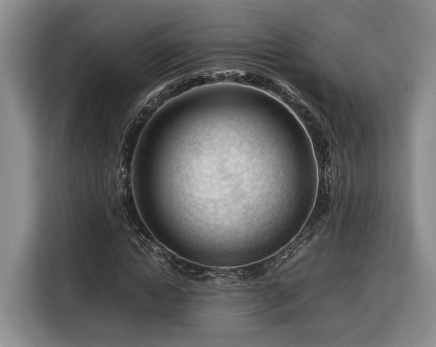 X0000116370822200912091236