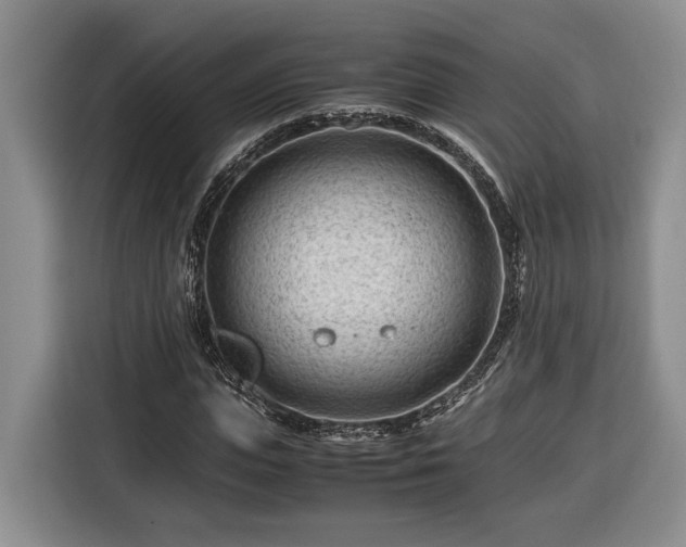 X0000116370823200912091236