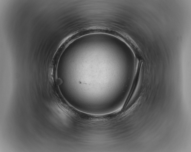 X0000116370830200912091236