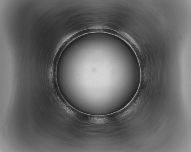 X0000116370831200912091236