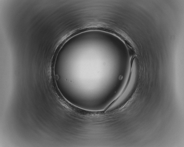 X0000116370834200912091236