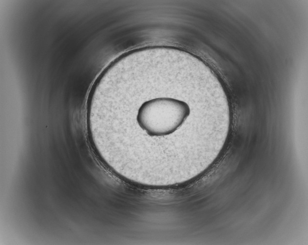 X0000116370836200912091236