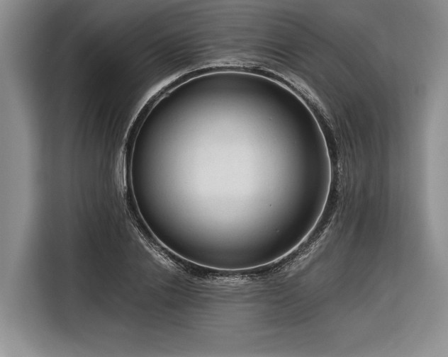 X0000116370838200912091236