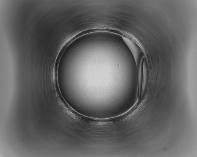 X0000116370839200912091236