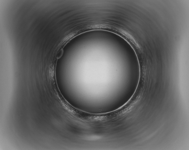 X0000116370841200912091236