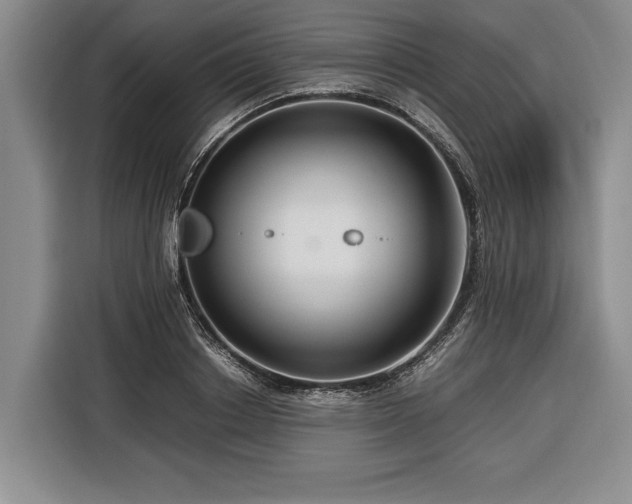 X0000116370842200912091236