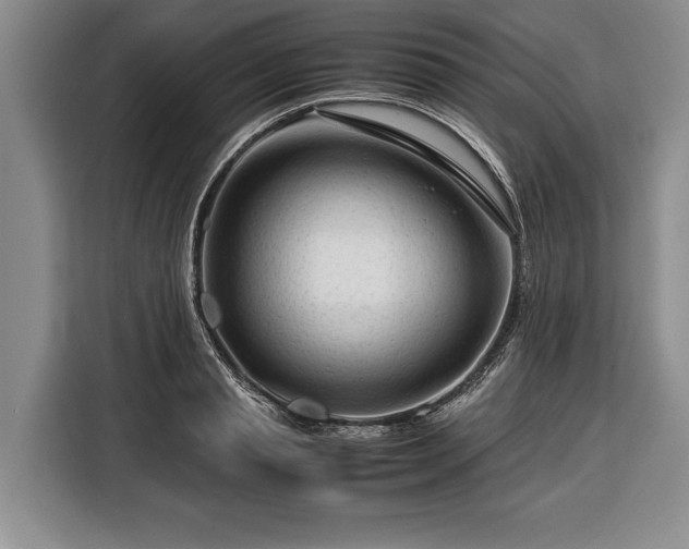 X0000116370845200912091236