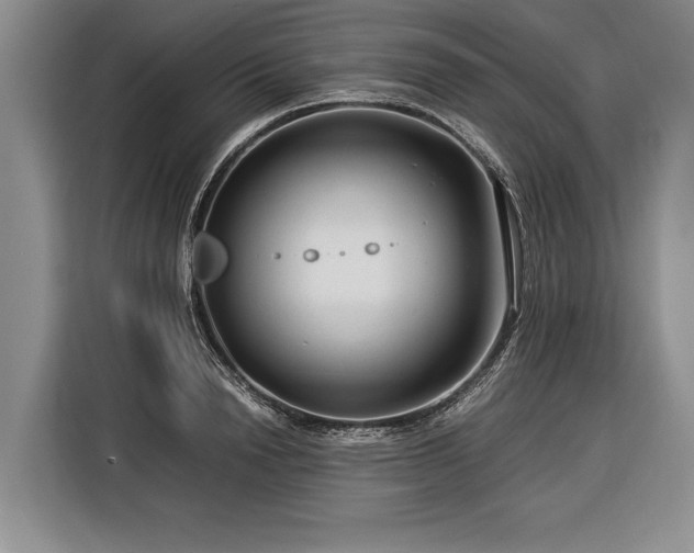 X0000116370846200912091236