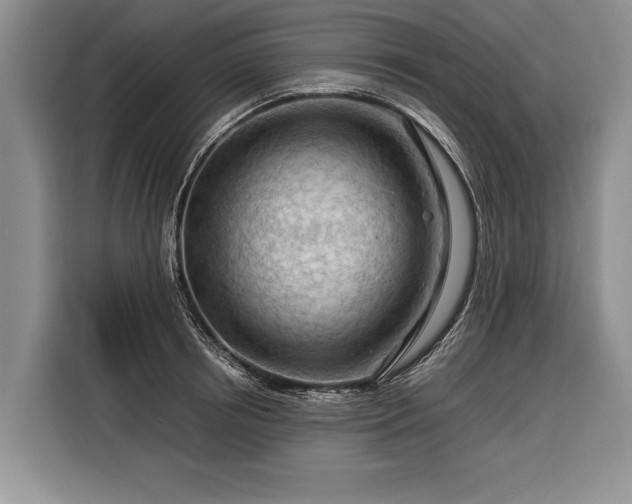 X0000116370850200912091236